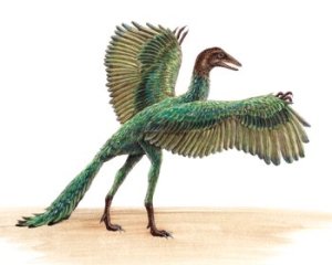 archaeopteryx7