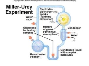 Miller Experiment
